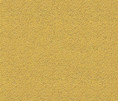 Westbond Ibond Naturals straw | Carpet tiles | Forbo Flooring