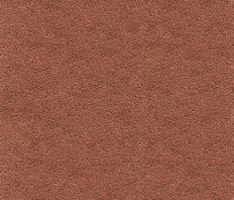 Westbond Ibond Naturals toasted almond | Dalles de moquette | Forbo Flooring