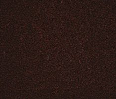 Westbond Ibond Reds aubergine | Carpet tiles | Forbo Flooring
