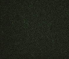 Westbond Ibond Greens spruce | Carpet tiles | Forbo Flooring