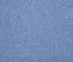 Westbond Ibond Blues dust blue | Carpet tiles | Forbo Flooring