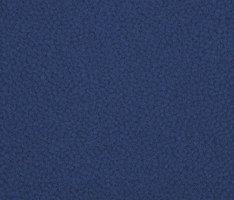 Westbond Ibond Blues ming blue | Carpet tiles | Forbo Flooring