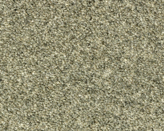 Westbond Natural masham | Carpet tiles | Forbo Flooring