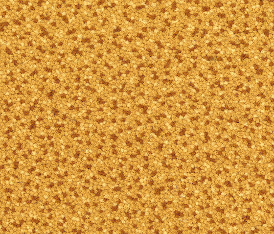 Westbond Flex goldcup | Carpet tiles | Forbo Flooring