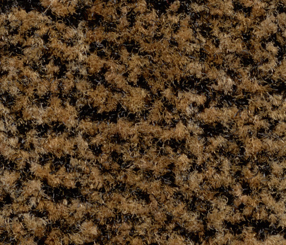 Coral Brush Blend coir brown | Carpet tiles | Forbo Flooring