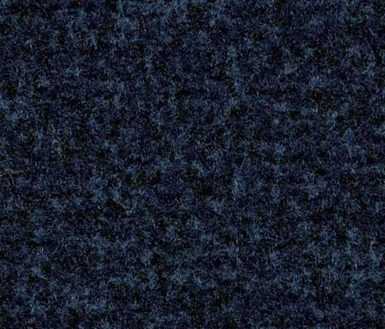 Coral Classic navy blue | Teppichfliesen | Forbo Flooring
