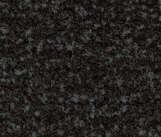 Coral Classic raven black | Carpet tiles | Forbo Flooring