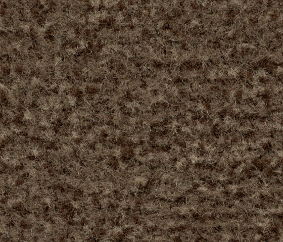Coral Classic spice brown | Teppichfliesen | Forbo Flooring