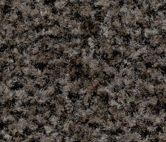 Coral Brush Pure shark grey | Teppichfliesen | Forbo Flooring