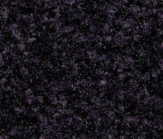 Coral Brush Pure bossanova purple | Carpet tiles | Forbo Flooring