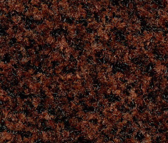 Coral Brush Pure jambalaya brown | Baldosas de moqueta | Forbo Flooring