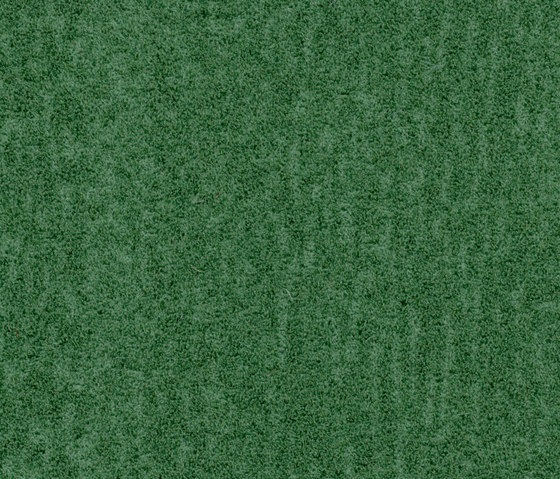 Flotex Colour | Penang evergreen | Carpet tiles | Forbo Flooring