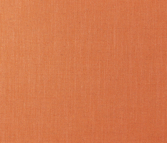 Dante col. 014 | Drapery fabrics | Dedar