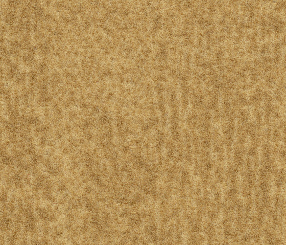 Flotex Colour | Penang amber | Carpet tiles | Forbo Flooring