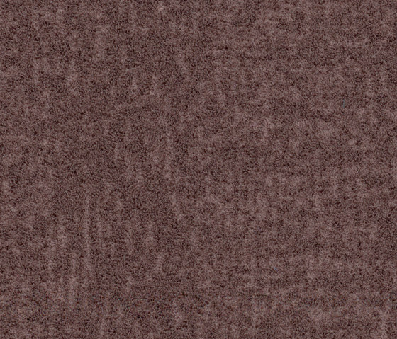 Flotex Colour | Penang dusk | Carpet tiles | Forbo Flooring