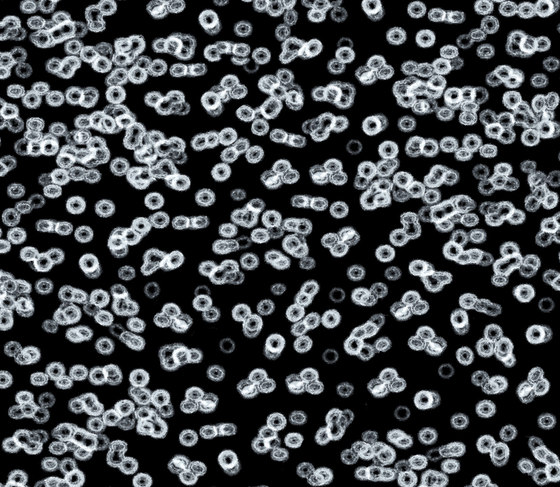 Flotex Sottsass | Bacteria 990106 | Carpet tiles | Forbo Flooring
