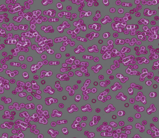 Flotex Sottsass | Bacteria 990301 | Carpet tiles | Forbo Flooring