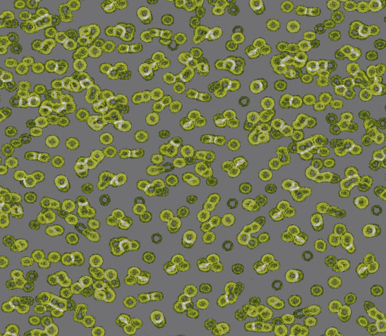 Flotex Sottsass | Bacteria 990302 | Carpet tiles | Forbo Flooring