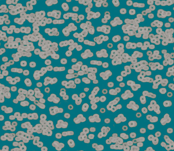 Flotex Sottsass | Bacteria 990404 | Carpet tiles | Forbo Flooring