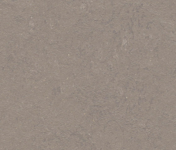 Marmoleum Concrete liquid clay | Rouleaux de linoleum | Forbo Flooring