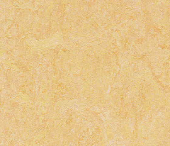 Marmoleum Fresco natural corn | Pavimentazione linoleum | Forbo Flooring