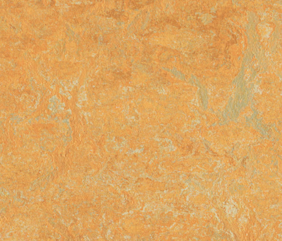 Marmoleum Fresco golden saffron | Rollos de linóleo | Forbo Flooring