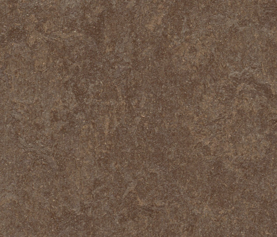 Marmoleum Fresco walnut | Pavimentazione linoleum | Forbo Flooring