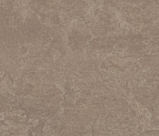 Marmoleum Real shrike | Linoleumböden | Forbo Flooring