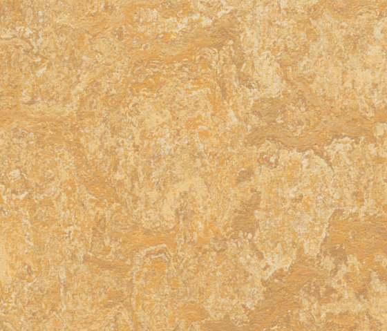 Marmoleum Real Van Gogh | Pavimenti linoleum | Forbo Flooring