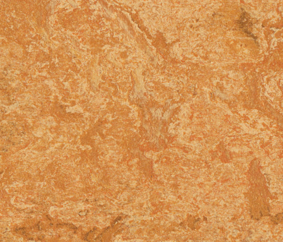 Marmoleum Real Sahara | Linoleum flooring | Forbo Flooring