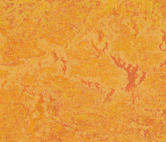 Marmoleum Real marigold | Linoleumböden | Forbo Flooring