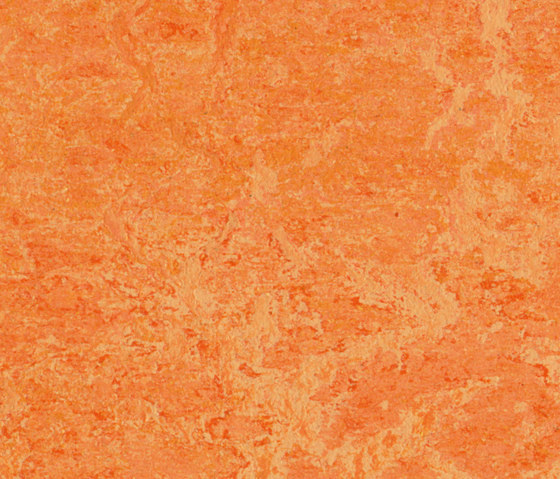 Marmoleum Real orange sorbet | Linoleum flooring | Forbo Flooring