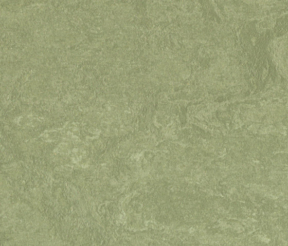Marmoleum Real willow | Quadrotte moquette | Forbo Flooring