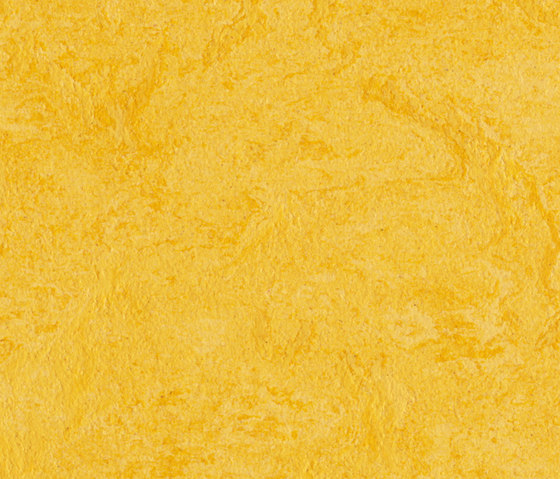 Marmoleum Real lemon zest | Linoleumböden | Forbo Flooring