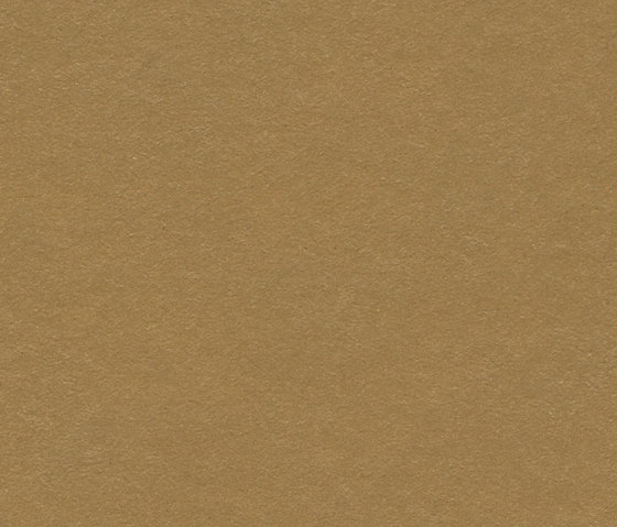 Marmoleum Walton | Cirrus cardboard | Pavimentazione linoleum | Forbo Flooring