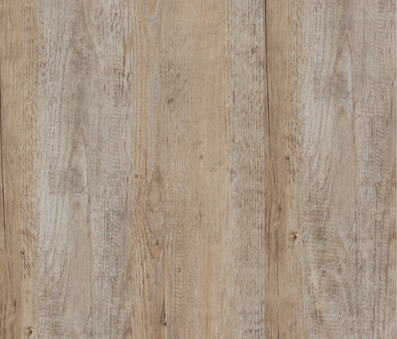 Allura Click bright multicolor pine | Lastre plastica | Forbo Flooring