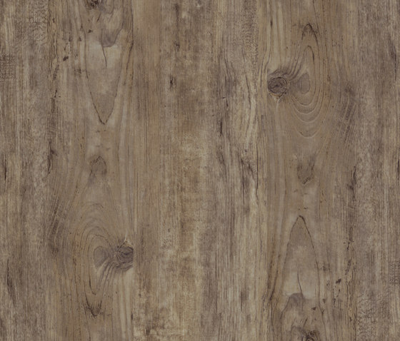 Allura Click brown green pine | Planchas de plástico | Forbo Flooring
