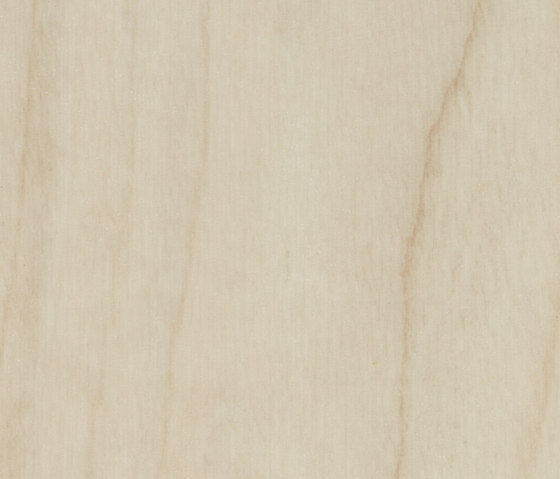 Allura Wood light maple | Baldosas de plástico | Forbo Flooring