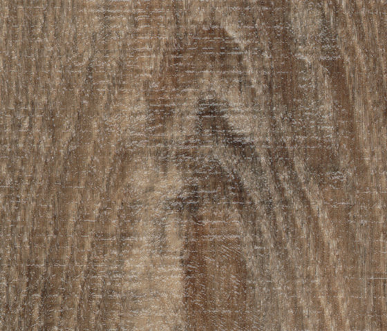 Allura Wood brown raw timber | Piastrelle plastica | Forbo Flooring