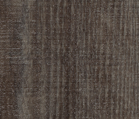 Allura Wood anthracite raw timber | Piastrelle plastica | Forbo Flooring