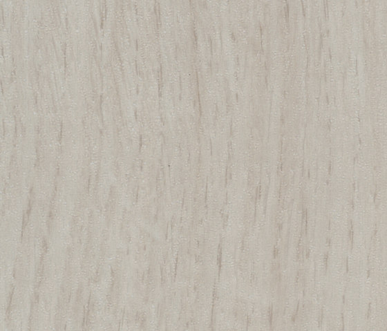 Allura Wood frost elegant oak | Baldosas de plástico | Forbo Flooring
