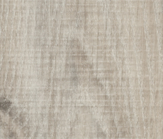 Allura Wood white raw timber | Kunststoff Fliesen | Forbo Flooring