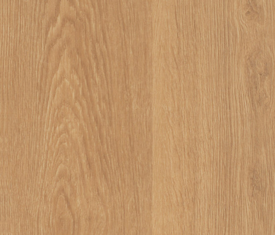 Allura Flex Wood french oak | Baldosas de plástico | Forbo Flooring
