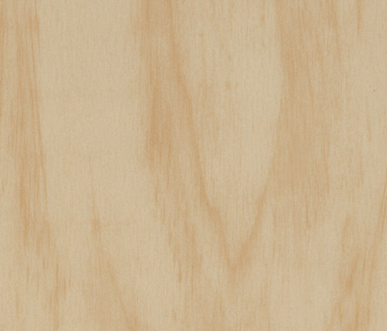 Allura Premium natural plywood | Piastrelle plastica | Forbo Flooring