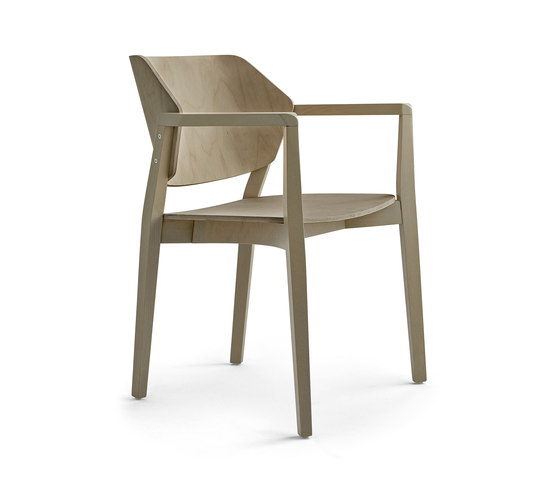 Turtle chair with armrests | Sillas | Varaschin