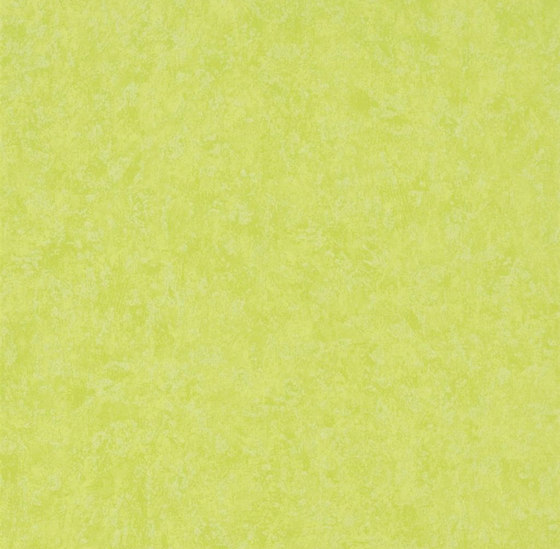 Amrapali Wallpaper | Mayura - Lime | Tissus de décoration | Designers Guild
