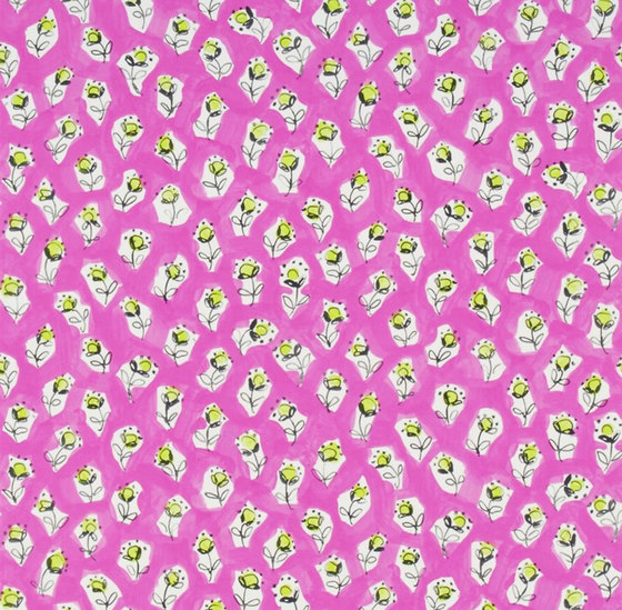 Around The World  Wallpaper | Daisy Patch - Fuchsia | Wall coverings / wallpapers | Designers Guild