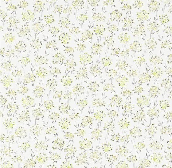 Brera Wallpaper | Forget Me Not - Moss | Wall coverings / wallpapers | Designers Guild