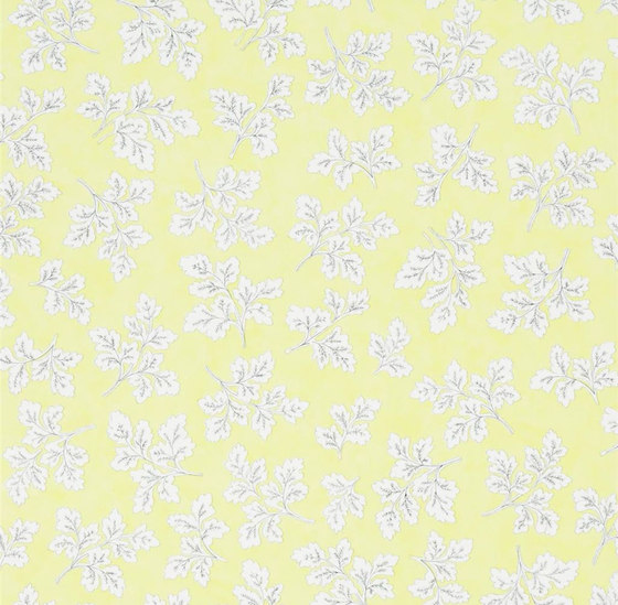 Brera Wallpaper | Meadow Leaf - Chartreuse | Carta parati / tappezzeria | Designers Guild