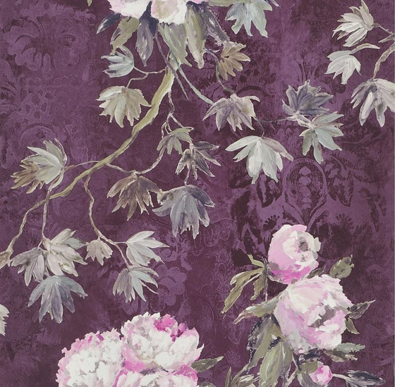 Caprifoglio  Wallpaper | Floreale - Damson | Tessuti decorative | Designers Guild